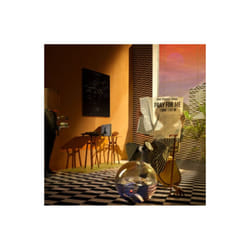 Pray For Me I DonÂ¿t Fit In - Melt Yourself Down - vinyl