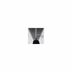 WALTER SMITH III