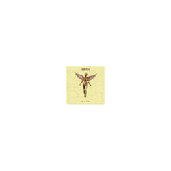 Nirvana "In Utero" 30th Ann. Vinyl LP & 10" with extra tracks