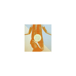 IN THE RED - SLOW DOWN HONEY - CD