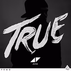 Virgin Records True, Dance, Vinyl, Avicii, Club/Dance, EDM, Physical media, Adults