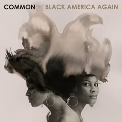 ImportCDs Black America Again, R&B, CD, Physical media, Adult, 1 discs, 03/11/2016