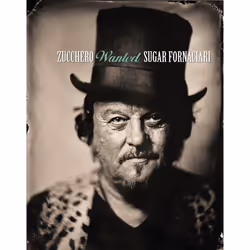 Universal Music Zucchero - Wanted The Best Collection, LP + 10CD + DVD, Pop, Zucchero, Physical media, Adult, 10/11/2017, CD1 ...