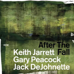 ImportCDs After the Fall, Jazz, CD, Physical media, Adult, 2 discs, 02/03/2018