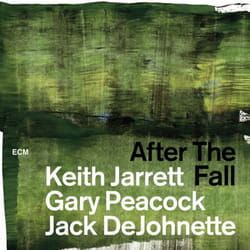 ImportCDs After the Fall CD Jazz