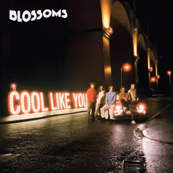 ImportCDs Cool Like You, Pop rock, CD, Physical media, Adult, 1 discs, 26/04/2018