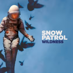 ImportCDs Wildness, Pop rock, Vinyl, Physical media, Adult, 1 discs, 24/05/2018