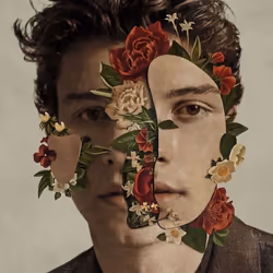 ImportCDs Shawn Mendes, Pop rock, CD, Physical media, Adult, 1 discs, 24/05/2018