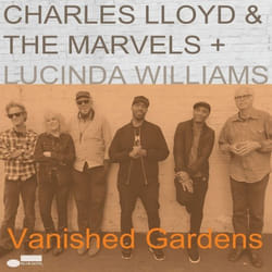 ImportCDs Vanished Gardens Vinyl Jazz