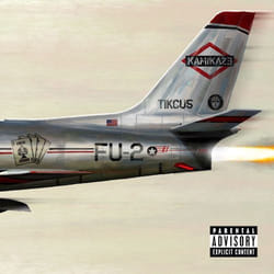 ImportCDs Kamikaze Vinyl R&B