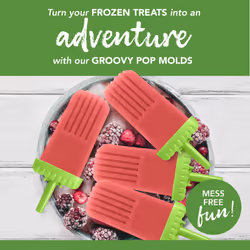 Tovolo Traditional Popsicle Making Tray Ice Pop Molds  Set of 6  Green
