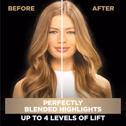 Garnier Hair Color Olia Ammonia-Free Permanent Hair Dye  H02 Highlights for Blondes  2 Count Packaging May Vary