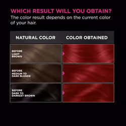 Garnier Olia Hair Color  Oil Powered Ammonia Free Permanent Hair Dye for Long-Lasting Hair Color  6.65 Intense Red  2 Hair Dye Kits