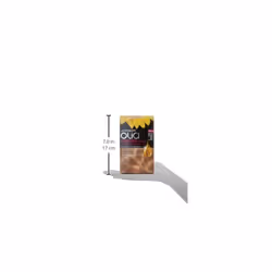 Garnier Olia Oil Powered Permanent Haircolor  813 Champagne Blonde