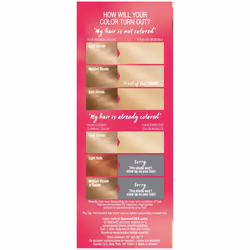 Garnier Hair Color Sensation Rich Long-Lasting Color Cream  11.3 Extra Ligh
