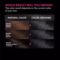 Garnier Hair Color Olia Ammonia-Free Brilliant Color Oil-Rich Permanent Hair Dye  2.11 Platinum Black  1 Count (Packaging May Vary)