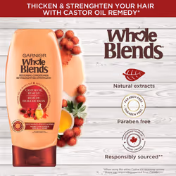 Garnier Whole Blends Restoring Conditioner Maple Remedy  For Dry  Damaged Hair  22 fl. oz.