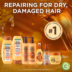 Garnier Whole Blends Honey Treasures Repairing Mask  for Dry  Damaged Hair  10.1 Fl Oz  2 Count (Packaging May Vary)