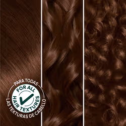 Garnier Hair Color Nutrisse Nourishing Creme  434 Deep Chestnut Brown (Chocolate Chestnut) Permanent Hair Dye  2 Count (Packaging May Vary)