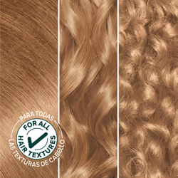 Garnier Hair Color Nutrisse Nourishing Creme  80 Medium Natural Blonde (Butternut) Permanent Hair Dye  2 Count (Packaging May Vary)