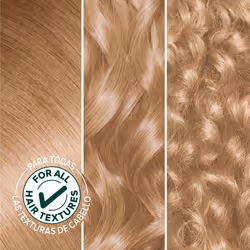 Garnier Hair Color Nutrisse Nourishing Creme  82 Champagne Blonde (Champagne Fizz) Permanent Hair Dye  2 Count (Packaging May Vary)