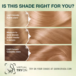 Garnier Hair Color Nutrisse Nourishing Creme  82 Champagne Blonde (Champagne Fizz) Permanent Hair Dye  2 Count (Packaging May Vary)