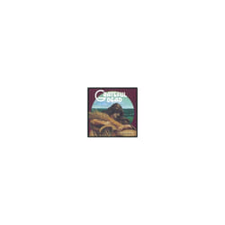 GRATEFUL DEAD