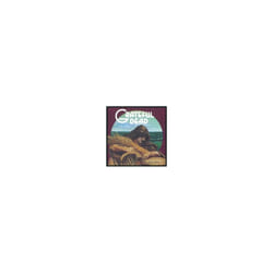 Grateful Dead