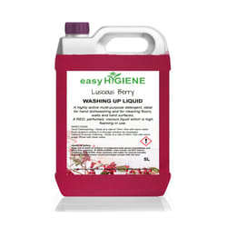 Luscious RED BERRY 5L WASHING UP LIQUID 1x 5 Litre five Perfumed