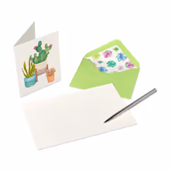 Papyrus Thank You Cards with Envelopes  Succulent 20-Count