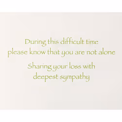 Papyrus Sympathy Card Not Alone