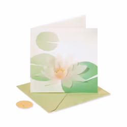 Papyrus Sympathy Card Not Alone