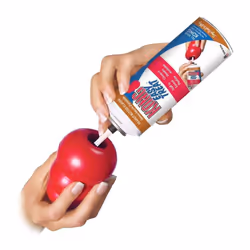 KONG Classic Medium Dog Toy Red Medium Pack of 2