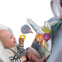 Taf Toys Infant Car Seat Development Center Newborn Baby Essentials Must Haves Toy  Car Seat Accessories Activity Center with Car Seat Mirror  for New