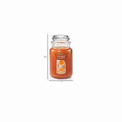 Yankee Candle Honey Clementine Scented  Classic 22oz Large Jar Single Wick Aromatherapy Candle  Over 110 Hours of Burn Time  Apothecary Jar Fall Candl