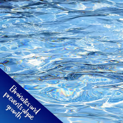 Pro-Kleen Algae Remover for Pools & Hot Tubs - 5L