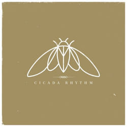 ImportCDs Cicada Rhythm Vinyl Americana