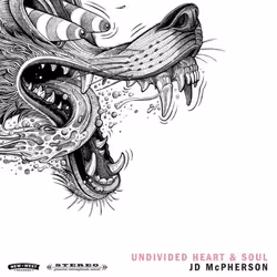 ImportCDs Undivided Heart & Soul, Americana, Vinyl, Physical media, Adult, 2 discs, 05/10/2017