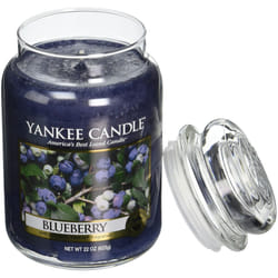 Yankee Candle Blueberry Scented  Classic 22oz Large Jar Single Wick Candle  Over 110 Hours of Burn Time