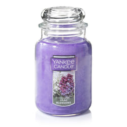 Yankee Candle Lilac Blossoms Scented  Classic 22oz Large Jar Single Wick Candle  Over 110 Hours of Burn Time  Perfect for Gifting  Gatherings and Seas