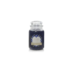 Blueberry Large Jar Candle Fresh Scent