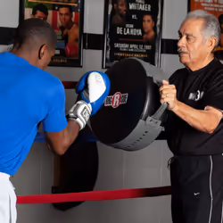 Ringside Boxing MMA Punch Shield