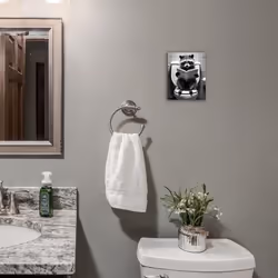 Gongyuanyihao Arts Funny Bathroom Decor Wall Art  Cute Raccoon Canvas Wall Decor  Humor Farmhouse Animal Wall Art  Black and White Wall Art Decor  Mod