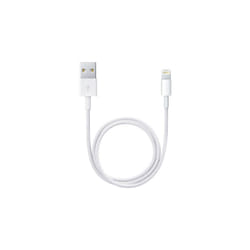 Apple 1m Lightning to USB Cable