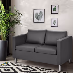 Modern Double Seat Sofa Loveseat 2 Seater Chair Sofa Couch Lounge