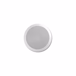 Ceiling Speaker