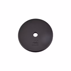 Yes4All 1-inch Cast Iron Weight Plates for Dumbbells - Standard Weight Disc Plates 10 lbs  Single