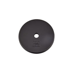 Yes4All 1-inch Cast Iron Weight Plates for Dumbbells - Standard Weight Disc Plates 10 lbs  Single
