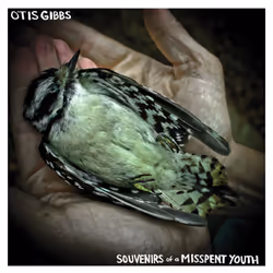 Alive AG Souvenirs of a Misspent Youth, Singer/Songwriter, CD, Gibbs, Otis, Physical media, Essential Sales and Marketing Ltd ...