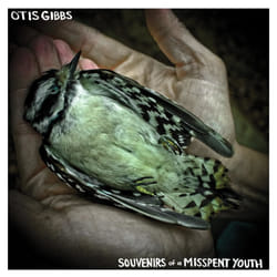 Alive AG Souvenirs of a Misspent Youth CD Singer/Songwriter Gibbs, Otis